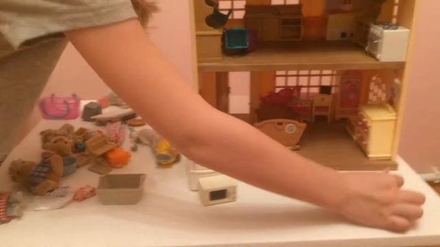 Сильвания фэмили. Сильваниан. Порядок в доме сильваниан.