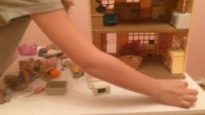 Сильвания фэмили. Сильваниан. Порядок в доме сильваниан.