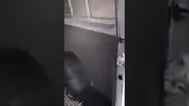 Ford transit Jubilee 1990 смотреть онлайн