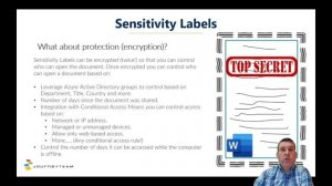 What are Microsoft Purview Sensitivity Labels?