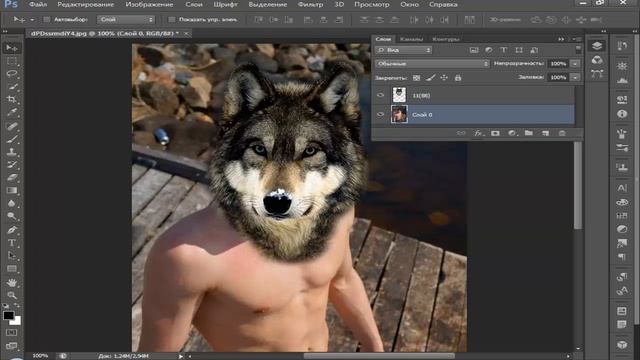 как сделать фото с лицом животного смотреть онлайн