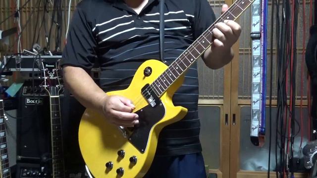 Edwards E LS90 LT（2007） + Kz TrebleBooster & Marshall JVM 1C 006 смотреть онлайн