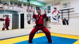 Hapkido palm basic forms #2