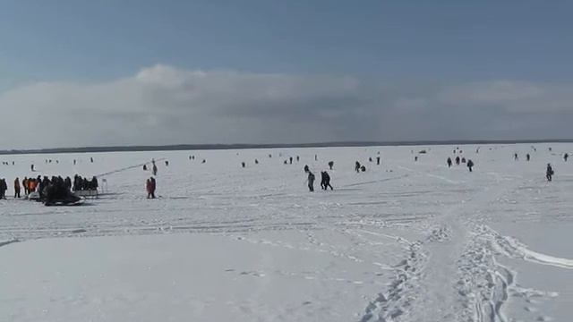 Рыбинская рыбалка