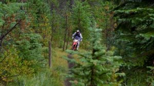 Honda CRF450L Review | First Ride