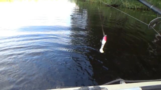 Любимая женщина ловит щук-ночевка с женой на лесном озере-август 2023 смотреть онлайн