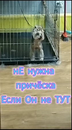 нЕ нужна ей причёска, лижбы он только был