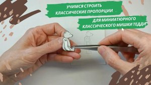 Учимся строить классические пропорции для миниатюрного мишки Тедди