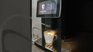 ОТЗЫВЫ Профессиональная автоматическая зерновая кофемашина Hipresso CM 1001 3