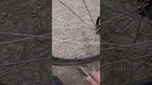 Натягивание спиц на велосипеде.