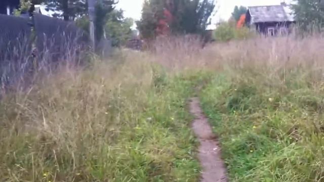 Копия видео Якшанга, прогулка