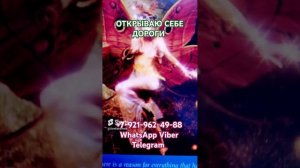 ОТКРЫВАЮ ДОРОГИ Светлана ВЕДА