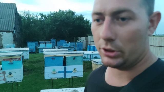 Когда кормить пчёл сиропом на пасеке как уберечь сушь от моли ??☝️ смотреть онлайн