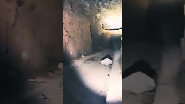 Что на самом деле находится в подземельях под Нью-Йорком