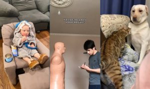 Забавные истории #2