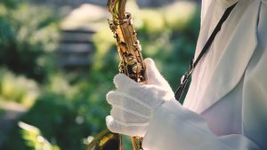 Саксофонист Сергей Головянко. Мелитополь-2016.