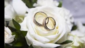 Menzure Musayeva - Tort (Musiqi-Tural Bakuvi, Soz-Aqshin Ferat, Aranj Ramal Resul)