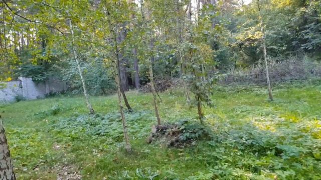 Христианство появилось на свет только в 16 веке!