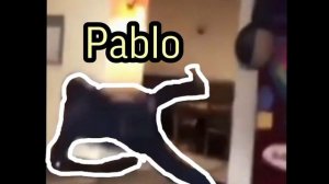 PABLO MEME/21st century humor