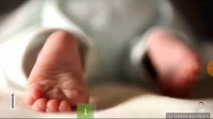 КАК ЖИВОТНЫЕ СПАСАЮТ ЛЮДЕЙ И НЕМНОГО ВЕСЕЛЬЯ