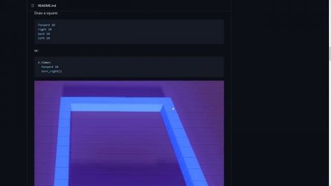 NIM Programming Language