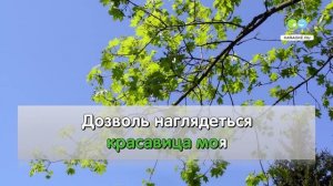 Вдоль по улице метелица метет - Народная (karaoke.ru).