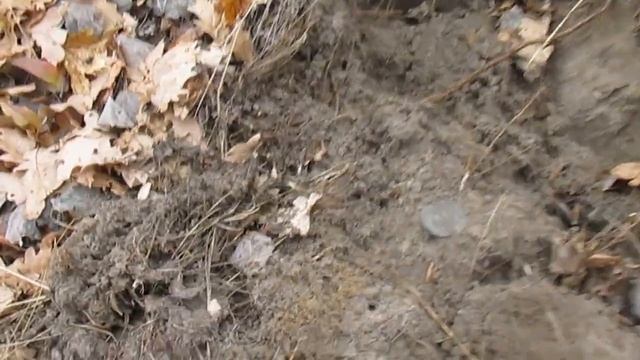 1 я поездка в Лох осенью 2021 смотреть онлайн