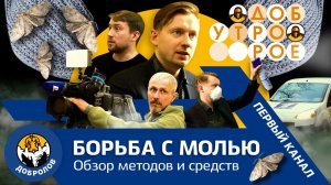 Пищевая и платяная моль. Борьба и профилактика