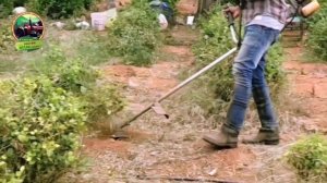 Brush cutter/ H Trimmer |jasmine plant burning  |wire cutter attachment