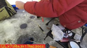Ловим плотву зимой на зимние удочки СССР.Поймали ведерко плотвы на засолку. Ловля плотвы зимой.
