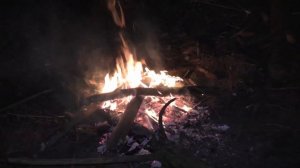 Честная охота на кабана с подхода! Ночуем в лесу.