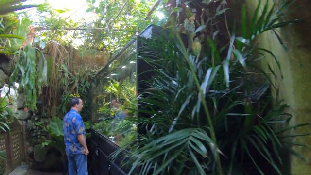 Marie Selby Botanical Garden смотреть онлайн