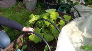 Прогулка по саду в конце сентября!