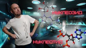 Что такое нуклеозиды и нуклеотиды? Душкин объяснит