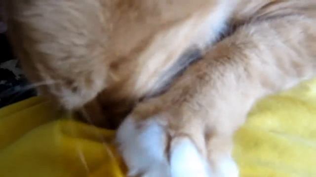 Ваниш новая формула смотреть онлайн