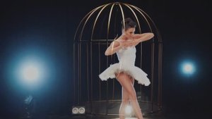 РАНЕННАЯ ПТИЦА - поёт Дарина Кочанжи. Слова Андрея Лукашина