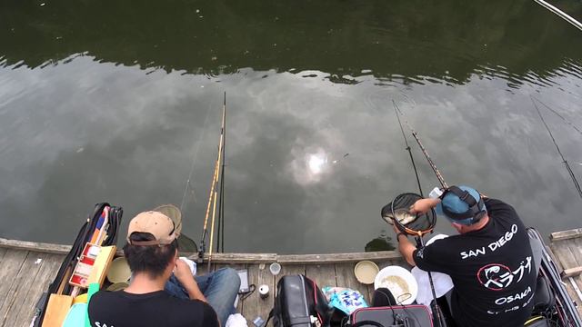 Херабуна центр Кикусуи...Осака!!👍 смотреть онлайн