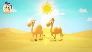 أغنية جمل Песня верблюда