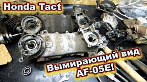 Honda Tact AF-05E ВЫМИРАЮЩИЙ ВИД !