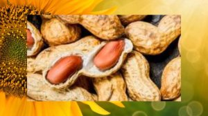 АРАХИС ПОЛЬЗА ИЛИ ВРЕД ПРО ЭТО СВОЙСТВО АРАХИСА ВЫ ТОЧНО НЕ ЗНАЛИ ВНИМАНИЕ