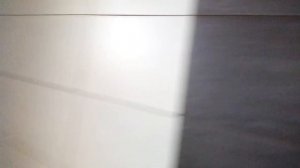 Укладка плитки на лепухи.