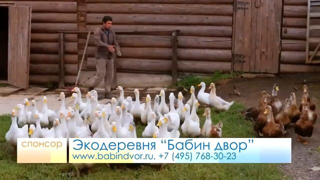 Экодеревня "Бабин Двор", Московская область смотреть онлайн