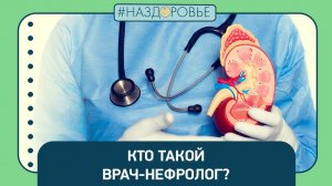 #НАЗДОРОВЬЕ: кто такой врач-нефролог?