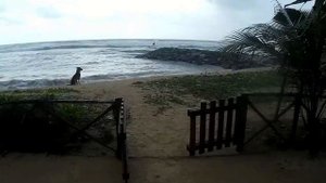 Insight Ahangama 3*_ Galle _ Sri Lanka