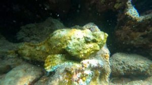 РАЗВЛЕЧЕНИЯ В ГОЛУБОЙ ДЫРЕ ДАХАБ ЕГИПЕТ EGYPT BLUE HOLE DAHAB סיני דהב צלילה בחור כחול