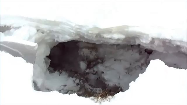 Топкинские горки 2017 смотреть онлайн