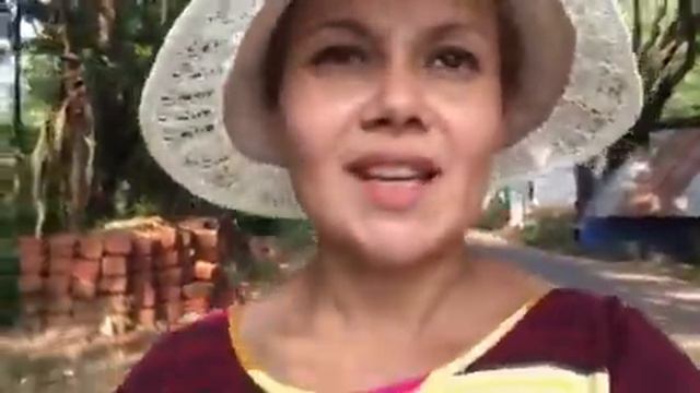 Осторожно, обезьяны в Гоа!