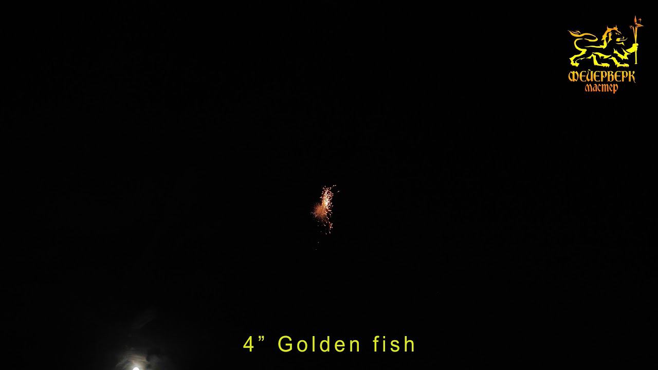 4" Golden fish
