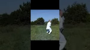 6). Традиционный спарринг в тайцзицюань ?