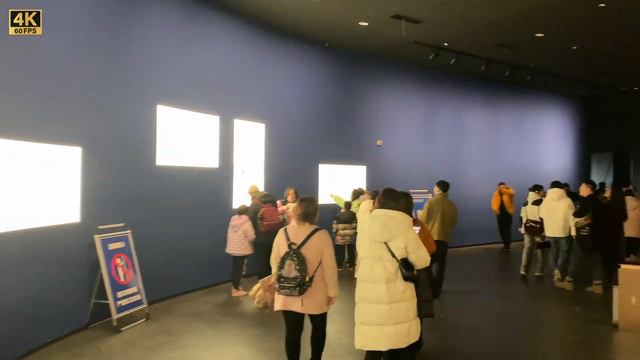 太震撼了！埃及文明来到了亚洲中国？古代中国人是世界上最富有的？第一次到四川三星堆博物馆 | SanXingDui Museum | History Culture China Chengdu 成都 смотреть онлайн